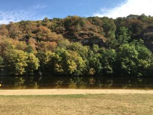 Campings Auberge de la Plage : photos des chambres