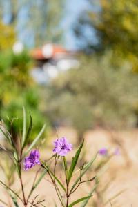 DIAMOND Traditional Villa Pelion Greece