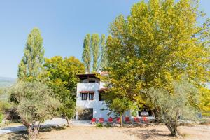 DIAMOND Traditional Villa Pelion Greece