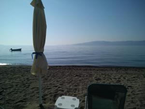 Flora's Beach House Your House On The Beach Evia Greece