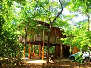 Finca Avellanas - 阿维拉纳海滩