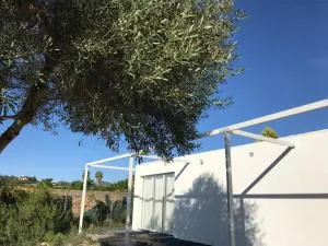 Buenavista - Llombay