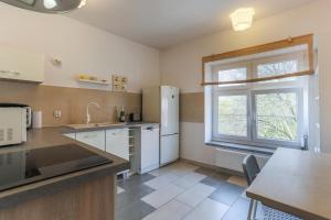 Spacious Apartment in Heart of Oldtown