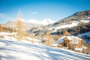 Chalets La FERME des Lombardes : photos des chambres