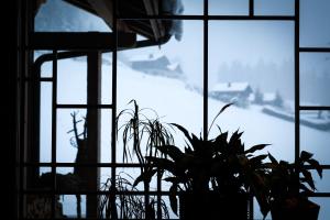 Chalets La FERME des Lombardes : photos des chambres