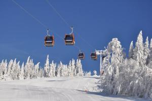 Bungalov Mobilheime Klaffer am Hochficht Rakousko