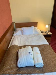 Therma Nea Dunajská Streda