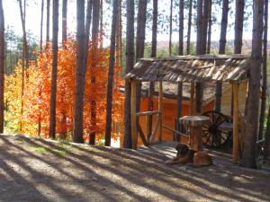 La maison sous les arbres