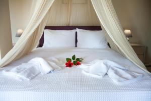 House with sea breeze-Anemelia