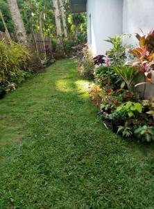 Bungalow on the Beach. Great Sunset. relaxing place