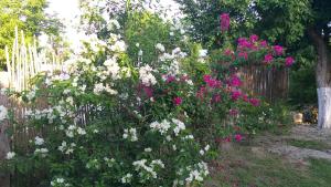 Otoch Béek Calakmul