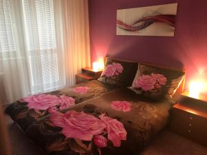 Apartment Apartm&aacute;n Jasm&iacute;n Olomouc Czech Republic