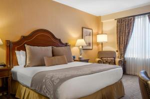 Premier King Room room in Omni Royal Orleans Hotel