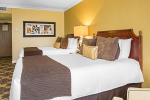 Deluxe Room - 2 Queen Beds room in Omni Houston Hotel