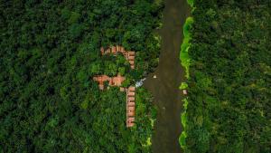 Amazon Muyuna Lodge -Inclusive