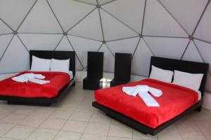 Hotel & Glamping Huasca Sierra Verde