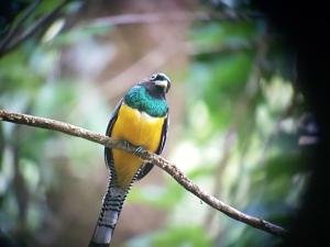 Casita con Vista al Mar