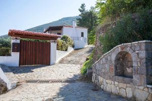 Dandy on the Hill in Amfiklia Parnassos Greece