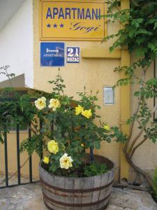 Apartments Gogi