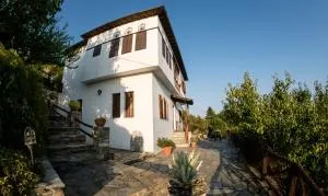 Pelion House with Wonderful View - Vizitsa