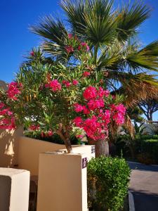 Hotels Hotel & Restaurant San Pellegrino : photos des chambres