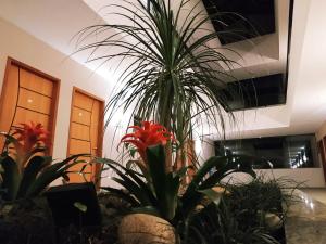 Pousada Montanhas do Caparaó