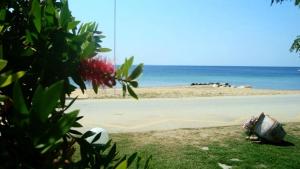 Karali Studios Halkidiki Greece