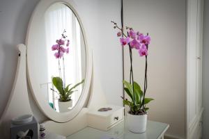 Bio B&B Vivere la Vita