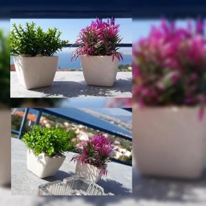 Kamari Blue Apartments