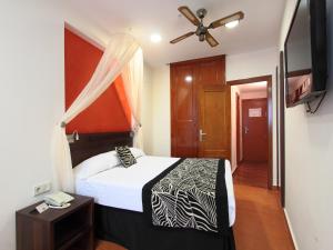 Single Room (1 Adults) room in Magic Aqua Rock Gardens