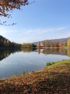 Casa de vacanta Mogosa