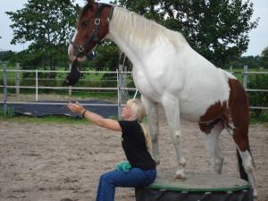 Little Farm House, 25164