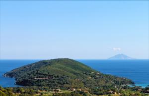 Two Bedroom  Apartment With Sea View room in Villa Manuela