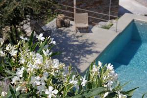 Villa Orso Blue I Kea Greece