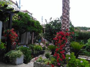 Apartments Garden Beach 