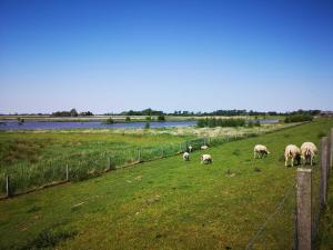 Ferienwohnung Schmidt, 95131