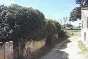 Maisons de vacances Mas de 