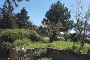 Maisons de vacances Mas de 