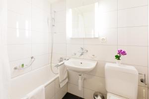 Apartment Executive Floor with Balcony room in Apartmenthaus zum Trillen Basel City Center