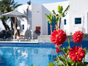 Kirki Village Rethymno Greece