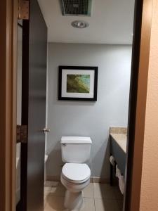 Superior King Room room in Wyndham Garden Hotel - Jacksonville
