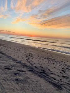 Ocean Vista Resort - Springs