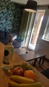 MJ Apartament Kamienna Wisła - Wisła