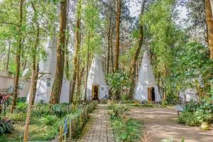 RedDoorz @ Apache Camp - Junggo