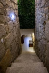 Casa Jardim