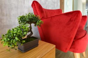 Apartamentai Apartament Atena Ščyrkas Lenkija