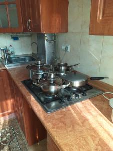 Чудова простора квартира з євроремонтом в районі Центрального парку Сільпо Університету