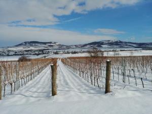 Penzion a vinařství Lelíkovi