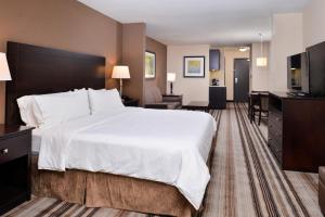 King Suite room in Holiday Inn Express & Suites Emporia Northwest an IHG Hotel