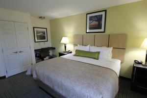 One-Bedroom King Suite room in Candlewood Suites Greenville an IHG Hotel